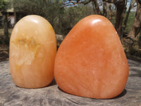 Polished Vibrant Orange Twist Calcite Standing Free Forms  x 2 From Madagascar - TopRock