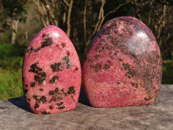 Polished Rhodonite Standing Free Forms x 3 From Madagascar - TopRock