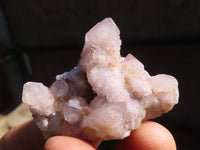 Natural Small Mixed Spirit Amethyst Quartz Clusters  x 35 From Boekenhouthoek, South Africa - Toprock Gemstones and Minerals 