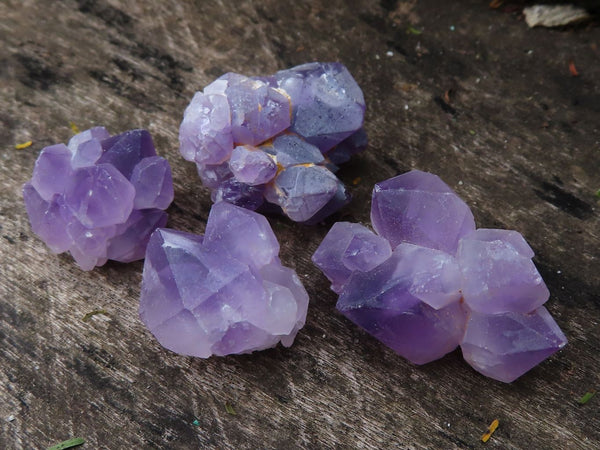 Natural Mini Flower Amethyst Crystal Clusters  x 76 From Ambatondrazaka, Madagascar - Toprock Gemstones and Minerals 