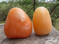 Polished Vibrant Orange Twist Calcite Standing Free Forms  x 2 From Madagascar - TopRock