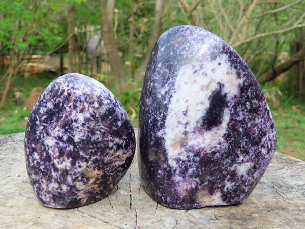 Polished Lepidolite Standing Free Forms x 2 From Zimbabwe - TopRock