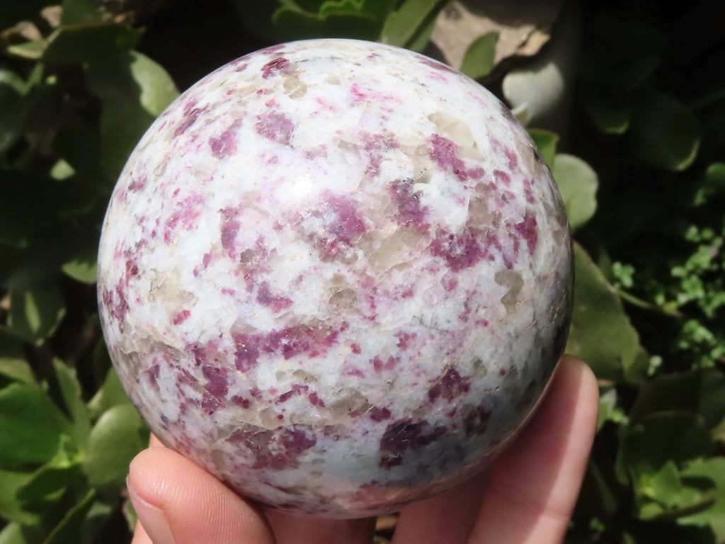 Polished Rubellite Pink Tourmaline Spheres  x 2 From Madagascar - TopRock