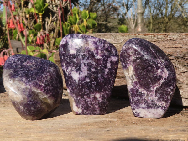 Polished  Purple Lepidolite Standing Free Forms  x 3 From Zimbabwe - Toprock Gemstones and Minerals 