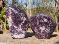 Polished  Purple Lepidolite Standing Free Forms  x 3 From Zimbabwe - Toprock Gemstones and Minerals 