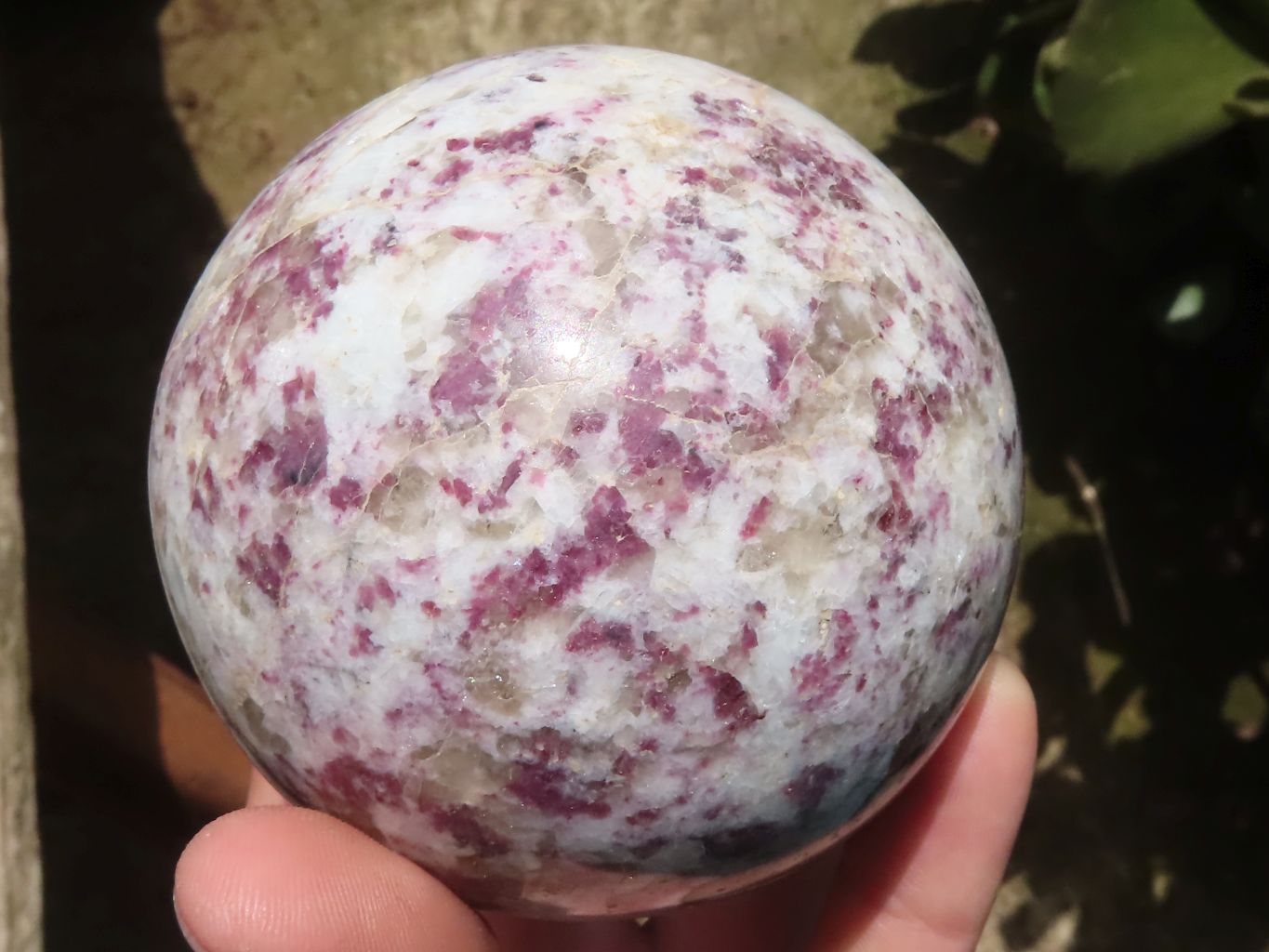 Polished Rubellite Pink Tourmaline Spheres  x 2 From Madagascar - TopRock