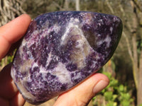 Polished  Purple Lepidolite Standing Free Forms  x 3 From Zimbabwe - Toprock Gemstones and Minerals 