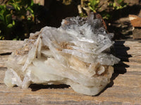 Natural Rare Large Bladed Barite Specimen x 1 From Congo