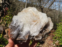 Natural Rare Large Bladed Barite Specimen x 1 From Congo
