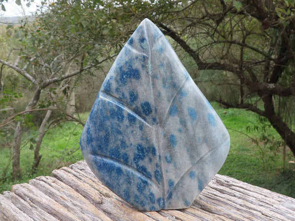 Polished Blue Spotted Spinel / Dalmatian Stone Leaf Sculpture  x 1 From Madagascar - TopRock