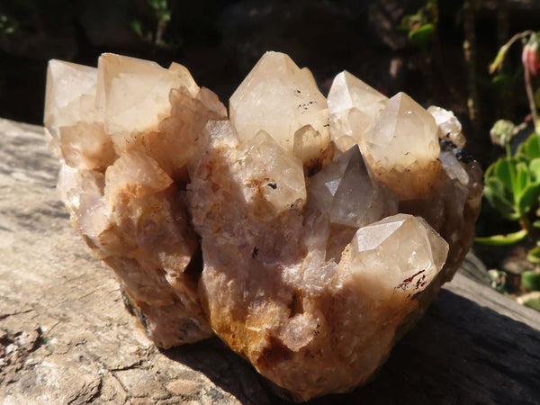 Natural Smokey Phantom Quartz Cluster  x 1 From Luena, Congo - Toprock Gemstones and Minerals 