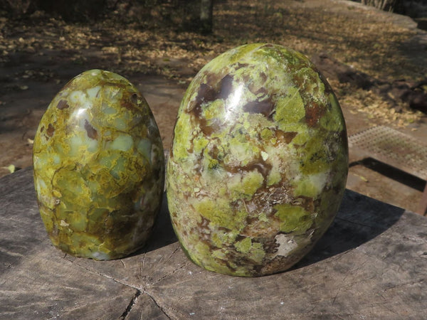 Polished Green Opal Standing Free Forms  x 2 From Antsirabe, Madagascar - TopRock