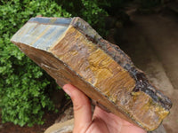 Natural Thick Blue Gold Rough Tigers Eye Slab x 1 From Northern Cape, South Africa - Toprock Gemstones and Minerals 