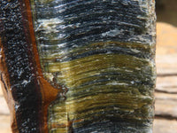 Natural Thick Blue Gold Rough Tigers Eye Slab x 1 From Northern Cape, South Africa - Toprock Gemstones and Minerals 