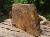 Natural Thick Blue Gold Rough Tigers Eye Slab x 1 From Northern Cape, South Africa - Toprock Gemstones and Minerals 