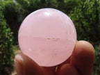 Polished Pink Rose Quartz Spheres  x 6 From Ambatondrazaka, Madagascar - TopRock