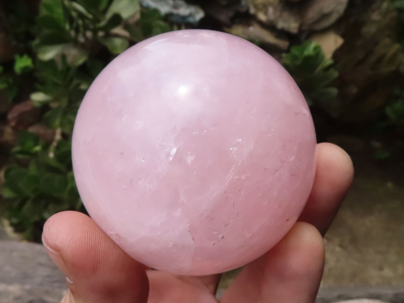 Polished Pink Rose Quartz Spheres  x 6 From Ambatondrazaka, Madagascar - TopRock
