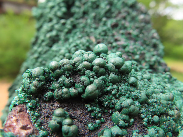 Natural Large Botryoidal Malachite Specimen With Cuprite x 1 From Kolwezi, Congo - TopRock