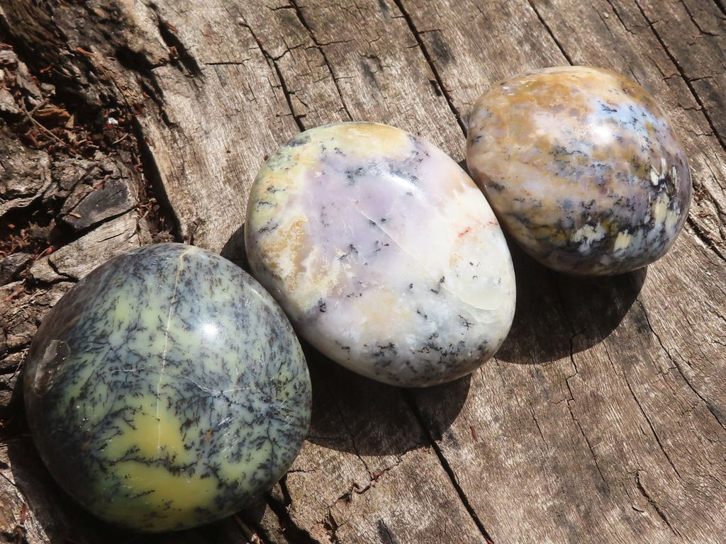Polished Lovely Mixed Selection Of Palm Stones  x 12 From Madagascar - TopRock