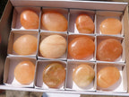 Polished Vibrant Orange Twist Calcite Palm Stones  x 12 From Madagascar - TopRock