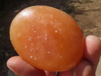 Polished Vibrant Orange Twist Calcite Palm Stones  x 12 From Madagascar - TopRock