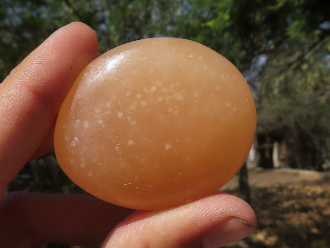 Polished Vibrant Orange Twist Calcite Palm Stones  x 12 From Madagascar - TopRock