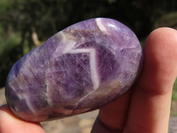 Polished Dream Amethyst Classic Malagasy Gallets x 11 From Zambia - TopRock