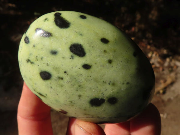 Polished  Spotted Leopard Stone Gallets  x 6 From Zimbabwe - Toprock Gemstones and Minerals 