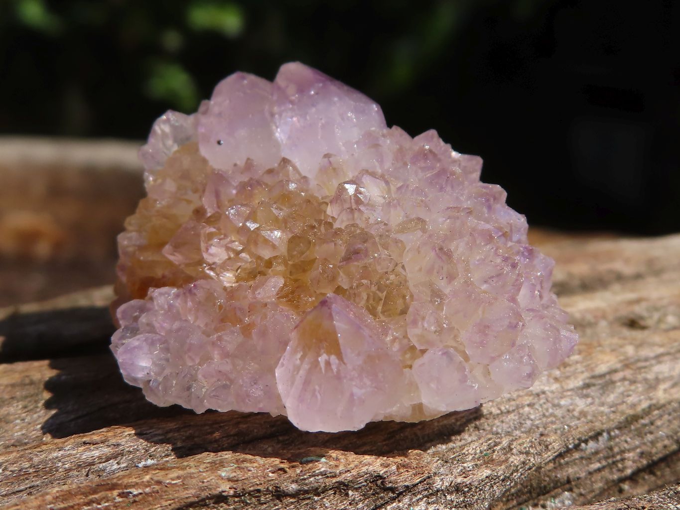 Natural Single Spirit Quartz Crystals  x 35 From Boekenhouthoek, South Africa - Toprock Gemstones and Minerals 