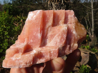 Natural New Sunset Orange Calcite Specimens  x 12 From Spitzkoppe, Namibia - Toprock Gemstones and Minerals 