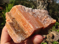 Natural New Sunset Orange Calcite Specimens  x 12 From Spitzkoppe, Namibia - Toprock Gemstones and Minerals 