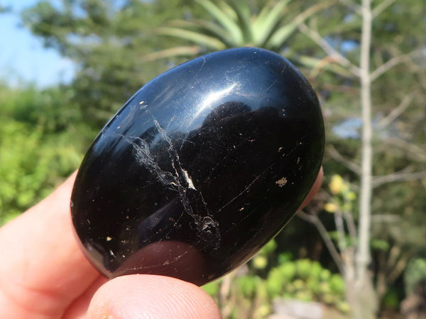 Polished Schorl Black Tourmaline Palm Stones  x 35 From Madagascar - Toprock Gemstones and Minerals 