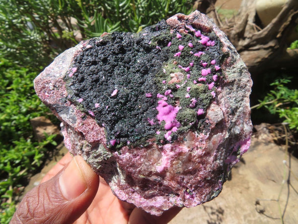 Natural Salrose Specimens with Malachite & Heterogenite x 3 From Kakanda, Congo - TopRock