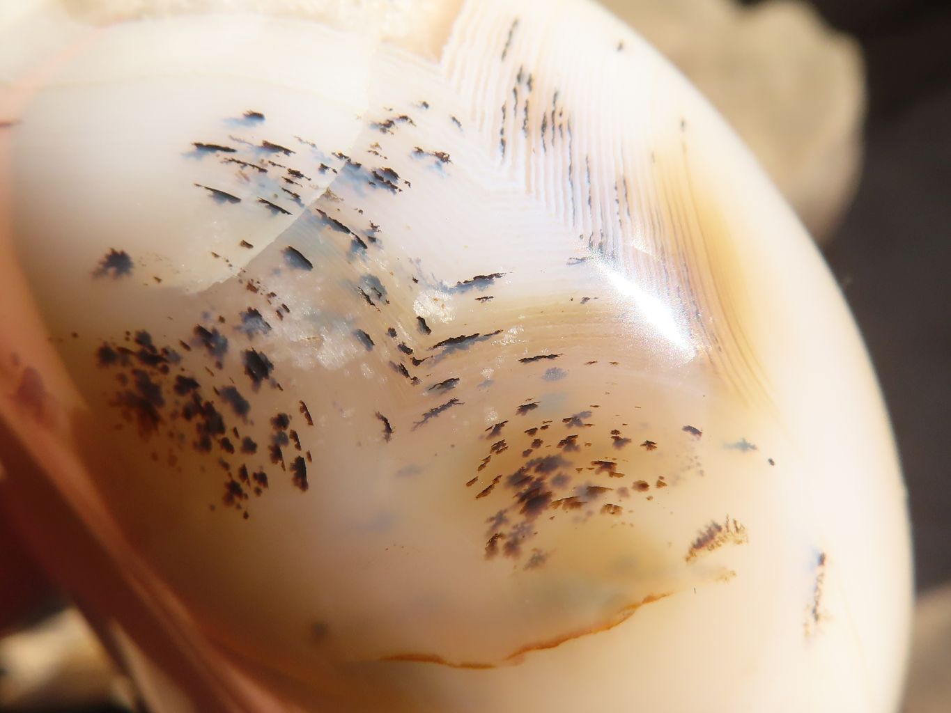 Polished Extra Large Banded Agate Hearts x 2 From Madagascar - Toprock Gemstones and Minerals 
