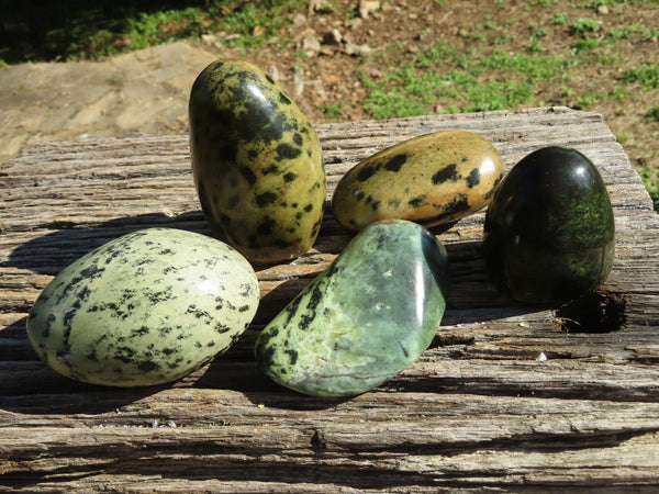 Polished Mixed Leopard Stone Items x 5 From Zimbabwe - TopRock