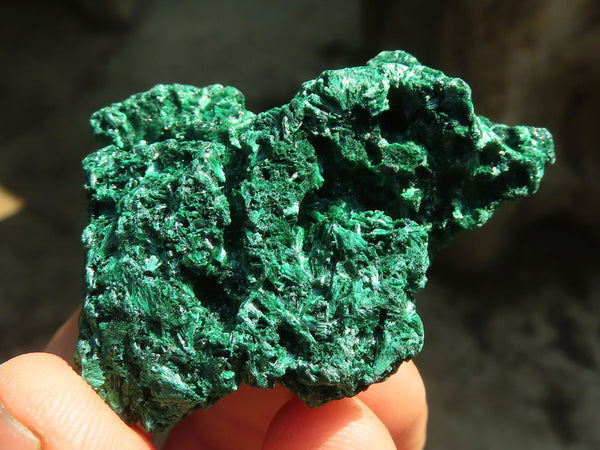 Natural Chatoyant Silky Malachite Specimens  x 20 From Kasompe, Congo - Toprock Gemstones and Minerals 