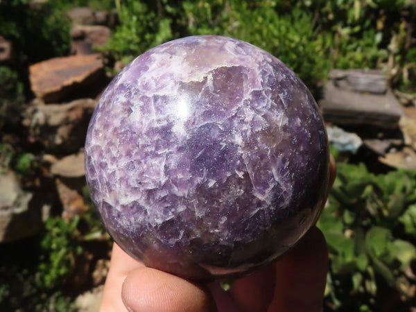 Polished Purple Lepidolite Spheres  x 4 From Zimbabwe - TopRock