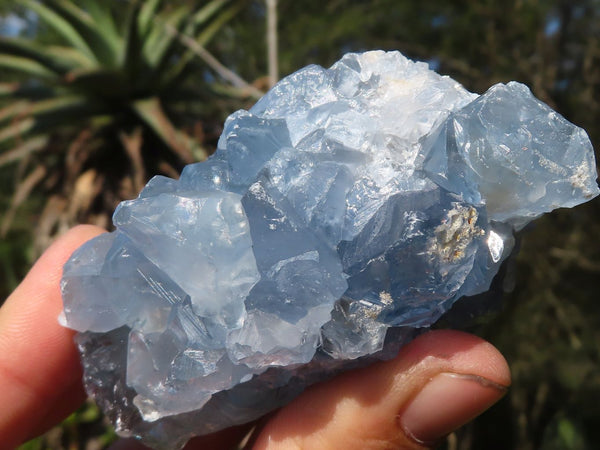 Natural Blue Celestite Crystal Specimens  x 4 From Sakoany, Madagascar - Toprock Gemstones and Minerals 
