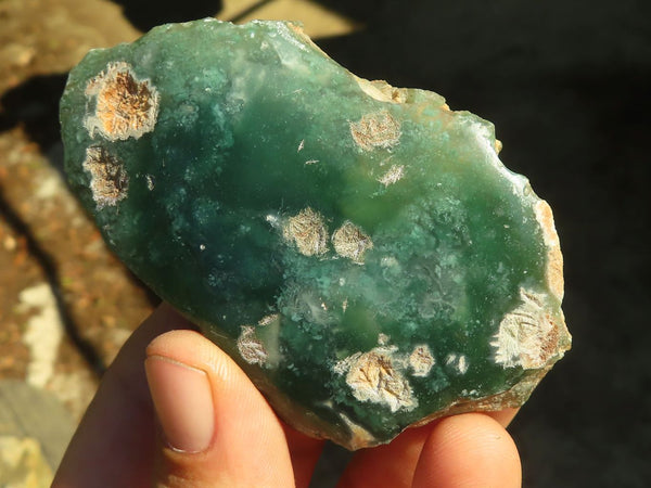 Polished Green Mtorolite Free Form Plates  x 12 From Zimbabwe - Toprock Gemstones and Minerals 