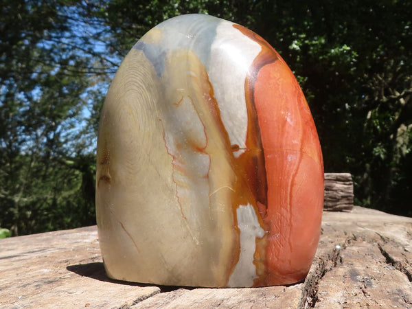 Polished Large Polychrome Jasper Standing Free Form  x 1 From Madagascar - TopRock