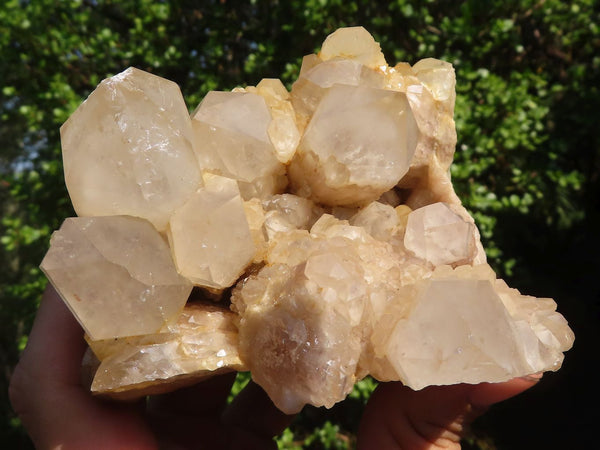 Natural Cascading White Phantom Smokey Quartz Clusters  x 4 From Luena, Congo - Toprock Gemstones and Minerals 