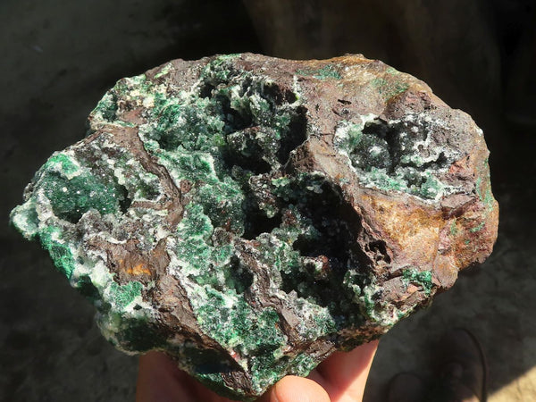 Natural Drusi Quartz Coated Malachite On Red Copper Dolomite  x 1 From Likasi, Congo