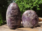 Polished Smokey Dream Amethyst Standing Free Forms  x 2 From Madagascar - Toprock Gemstones and Minerals 