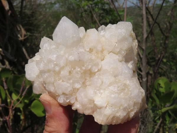 Natural Castle Quartz Clusters With White Phantom & Cathedral Window Terminations x 2 From Ivato, Madagascar - TopRock