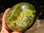 Polished  Green Opal Standing Free Forms  x 2 From Madagascar - Toprock Gemstones and Minerals 