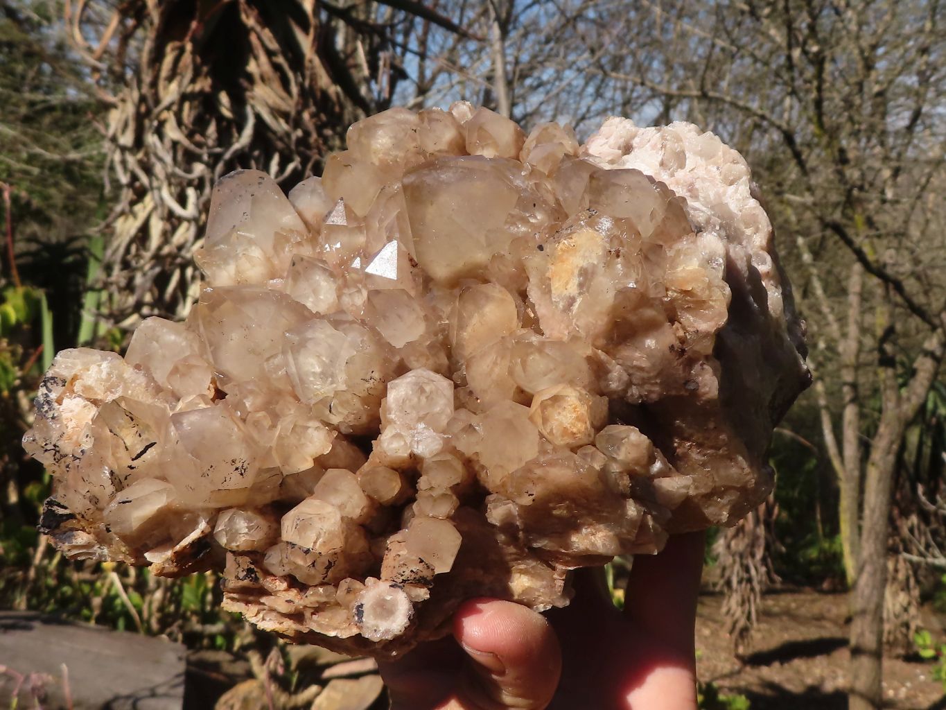 Natural Cascading Smokey Phantom Quartz Cluster x 1 From Luena, Congo - Toprock Gemstones and Minerals 