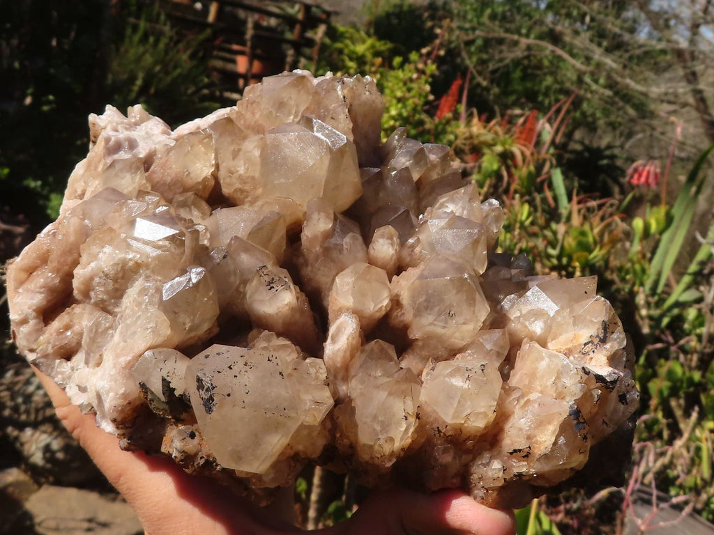 Natural Cascading Smokey Phantom Quartz Cluster x 1 From Luena, Congo - Toprock Gemstones and Minerals 
