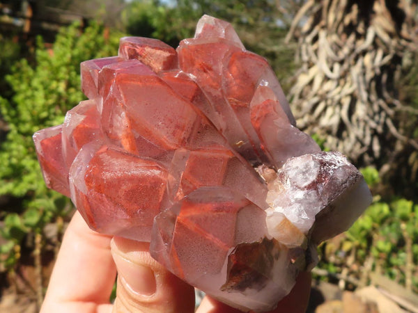Natural Red Hematite Quartz Clusters  x 4 From Namibia