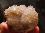 Natural Mixed Spirit Quartz Crystals x 12 From Boekenhouthoek, South Africa - Toprock Gemstones and Minerals 