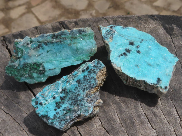 Natural Small Chrysocolla Dolomite With Malachite Specimens  x 42 From Likasi, Congo - TopRock